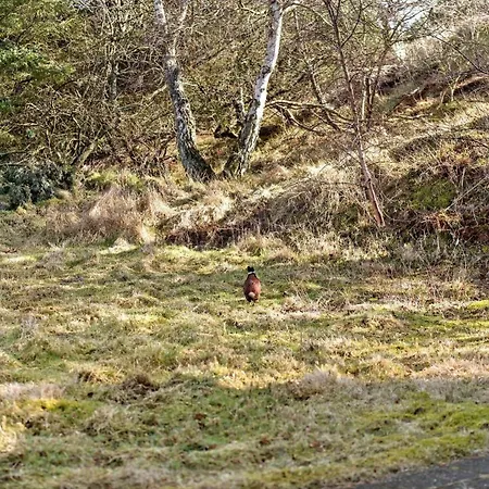 Дом отдыха Fan034-fano-fjeldstien-22