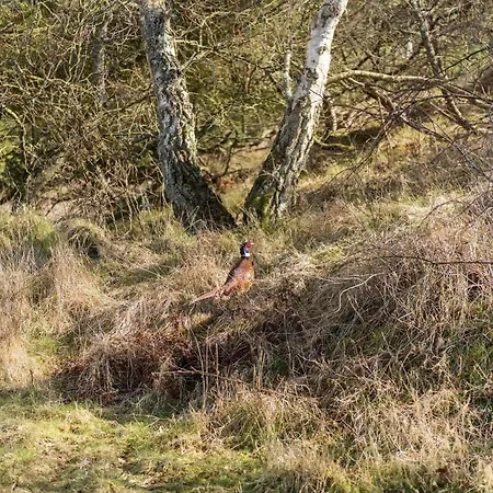 Дом отдыха Fan034-fano-fjeldstien-22 Фанё