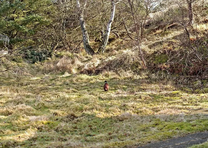 Holiday home Fan034-fano-fjeldstien-22 Fano