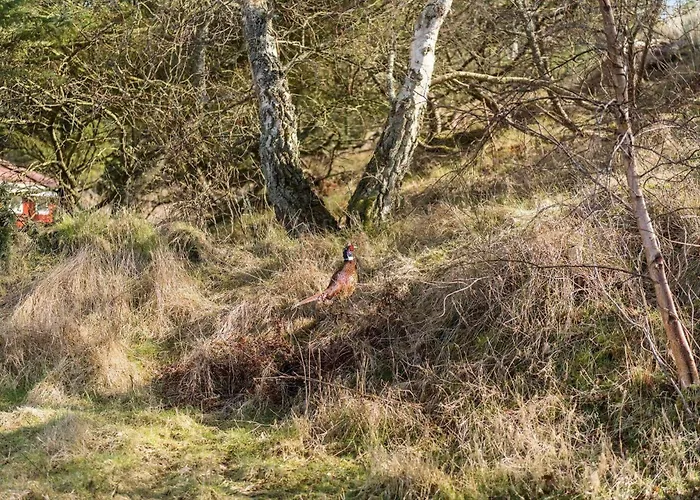 Fan034-fano-fjeldstien-22 Fano